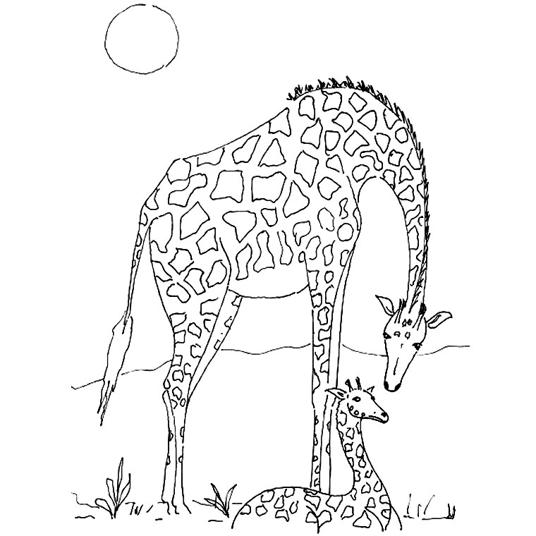 着色页: 野生/丛林动物 (动物) #21138 - 免费可打印着色页