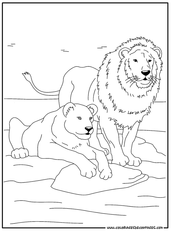 着色页: 野生/丛林动物 (动物) #21291 - 免费可打印着色页