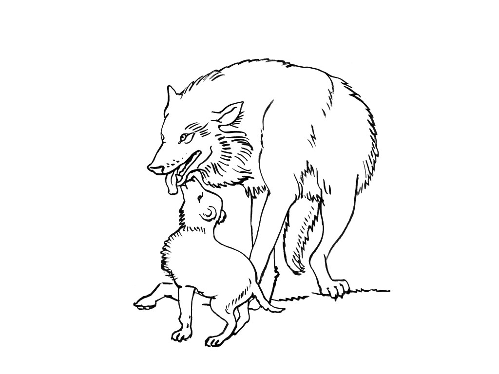 着色页: 狼 (动物) #10445 - 免费可打印着色页