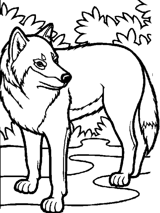 着色页: 狼 (动物) #10448 - 免费可打印着色页