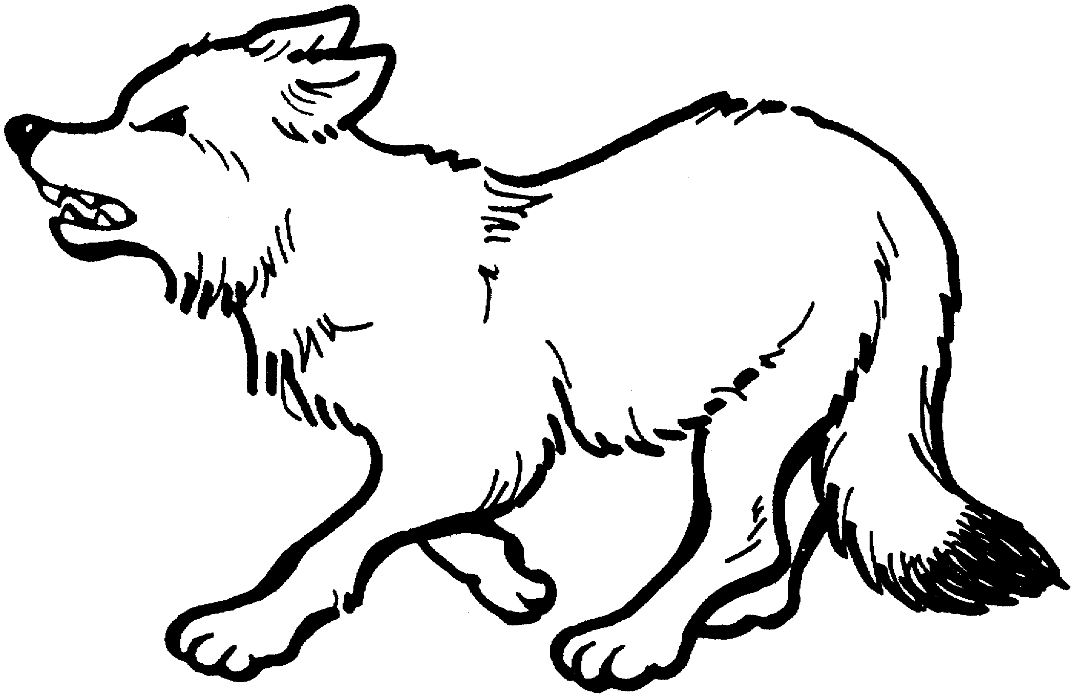 着色页: 狼 (动物) #10475 - 免费可打印着色页