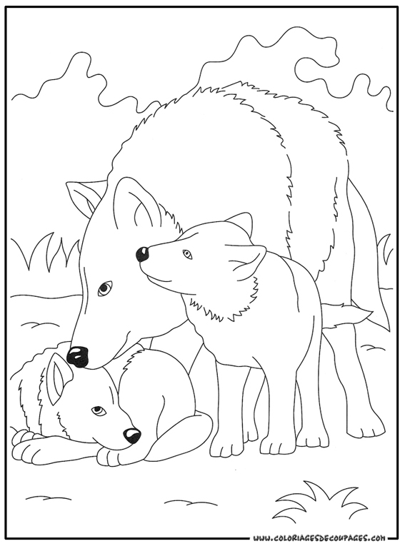 着色页: 狼 (动物) #10491 - 免费可打印着色页