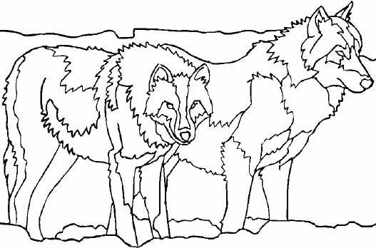 着色页: 狼 (动物) #10535 - 免费可打印着色页