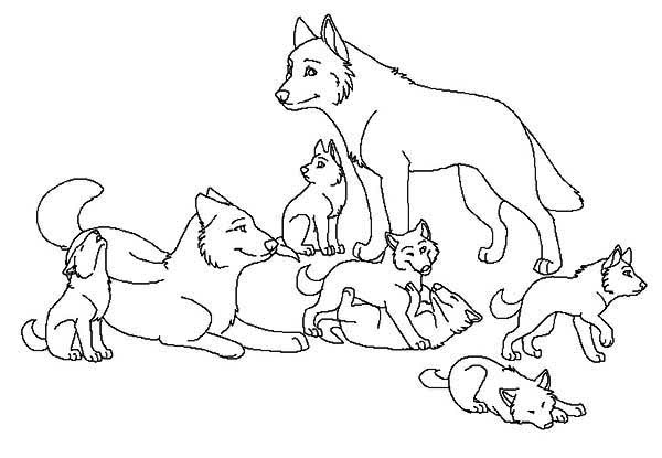 着色页: 狼 (动物) #10556 - 免费可打印着色页