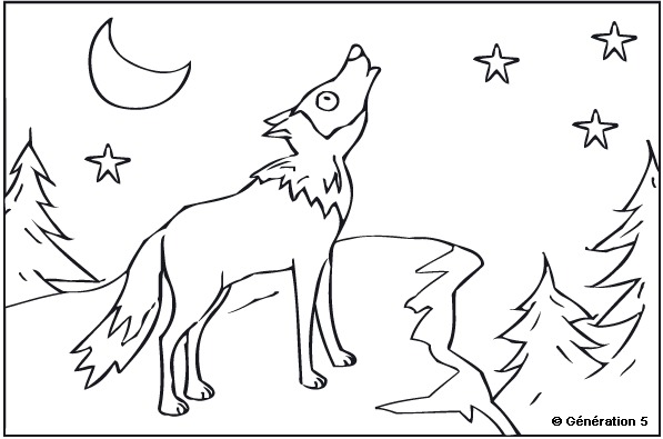 着色页: 狼 (动物) #10558 - 免费可打印着色页