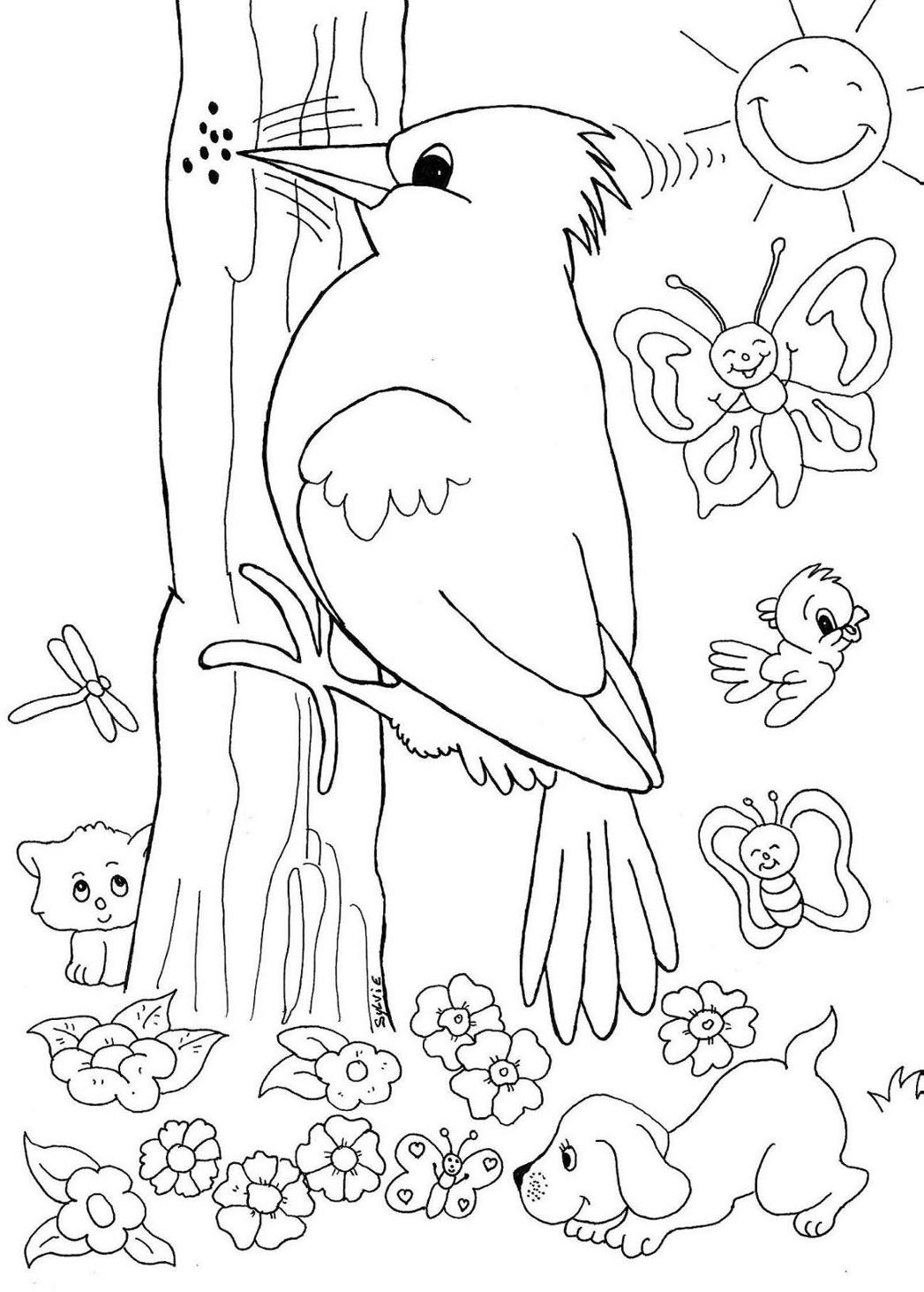 着色页: 啄木鸟 (动物) #16677 - 免费可打印着色页