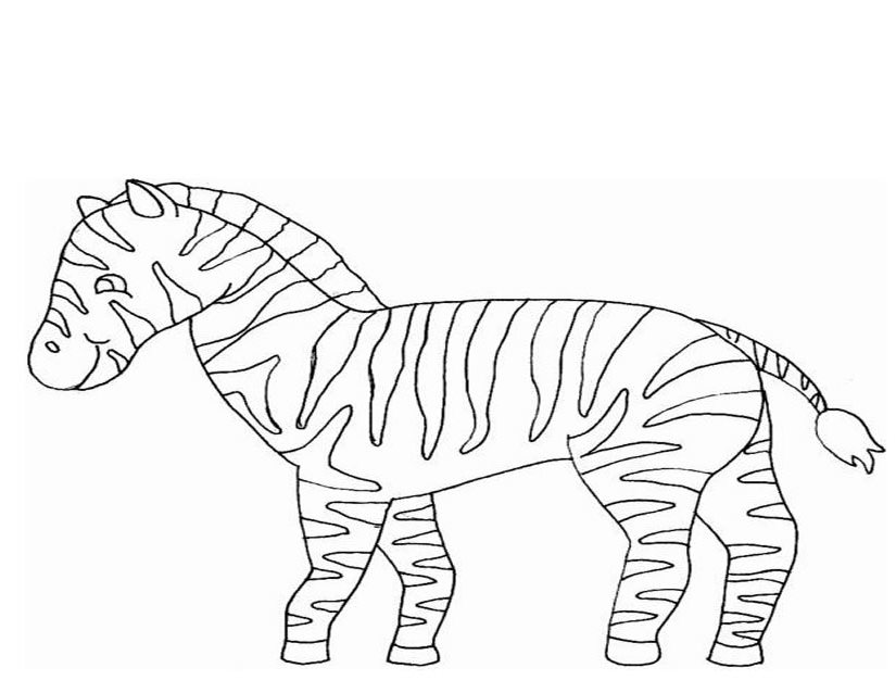 着色页: 斑马 (动物) #13065 - 免费可打印着色页