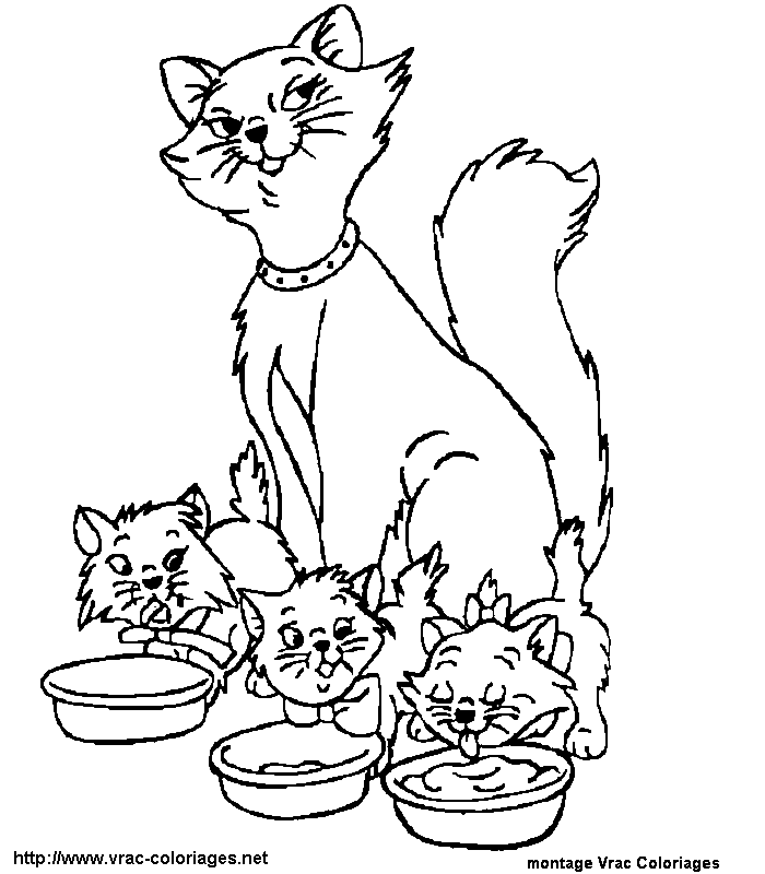 着色页: 贵族猫 (动画电影) #26864 - 免费可打印着色页