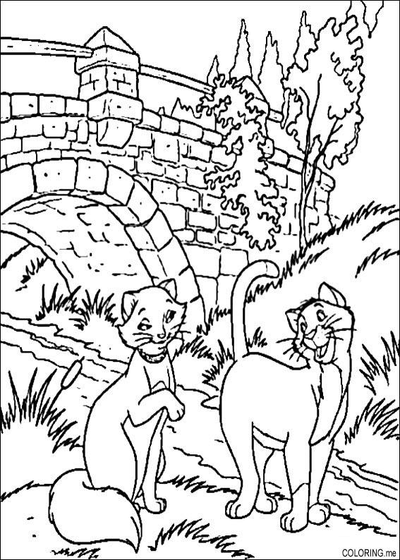 着色页: 贵族猫 (动画电影) #26966 - 免费可打印着色页