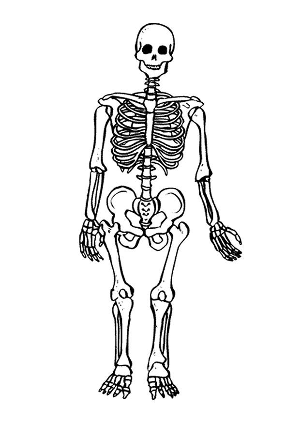 着色页: 骨骼 (人物) #147415 - 免费可打印着色页
