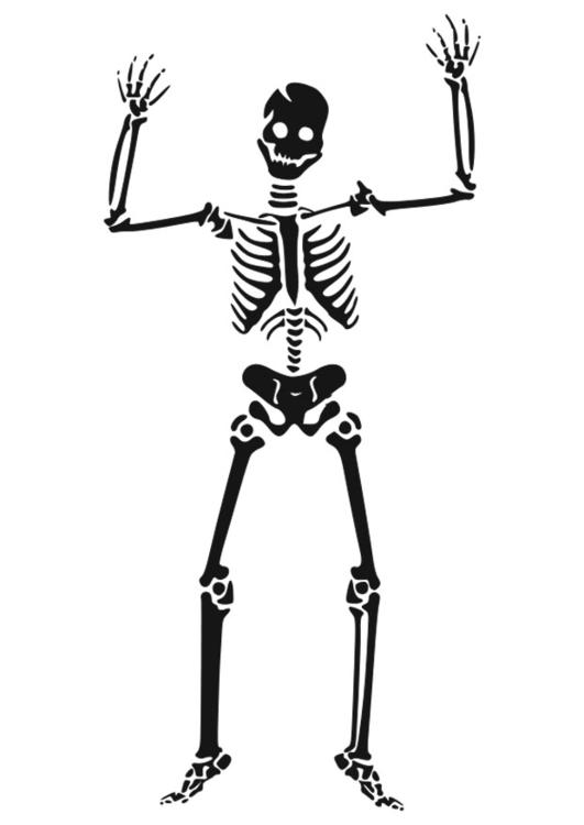 着色页: 骨骼 (人物) #147441 - 免费可打印着色页