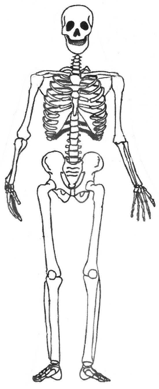 着色页: 骨骼 (人物) #147444 - 免费可打印着色页