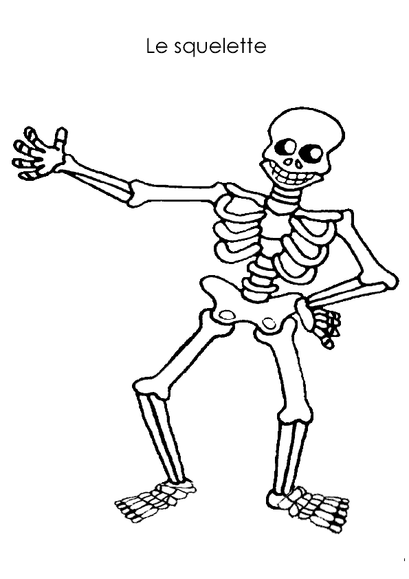 着色页: 骨骼 (人物) #147454 - 免费可打印着色页