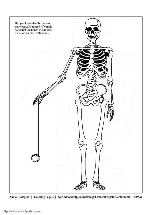 着色页: 骨骼 (人物) #147456 - 免费可打印着色页
