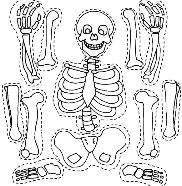 着色页: 骨骼 (人物) #147464 - 免费可打印着色页