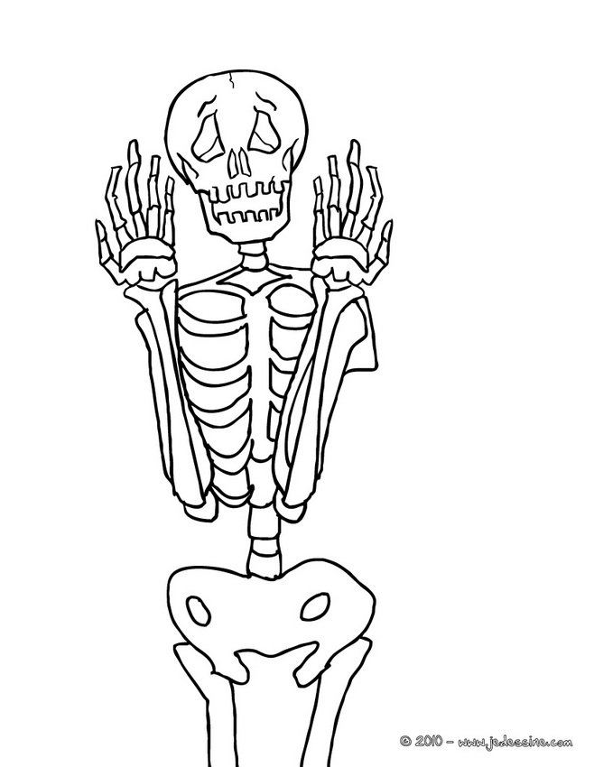 着色页: 骨骼 (人物) #147485 - 免费可打印着色页