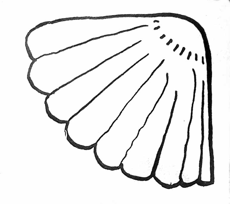 着色页: 贝壳 (自然与季节) #163147 - 免费可打印着色页