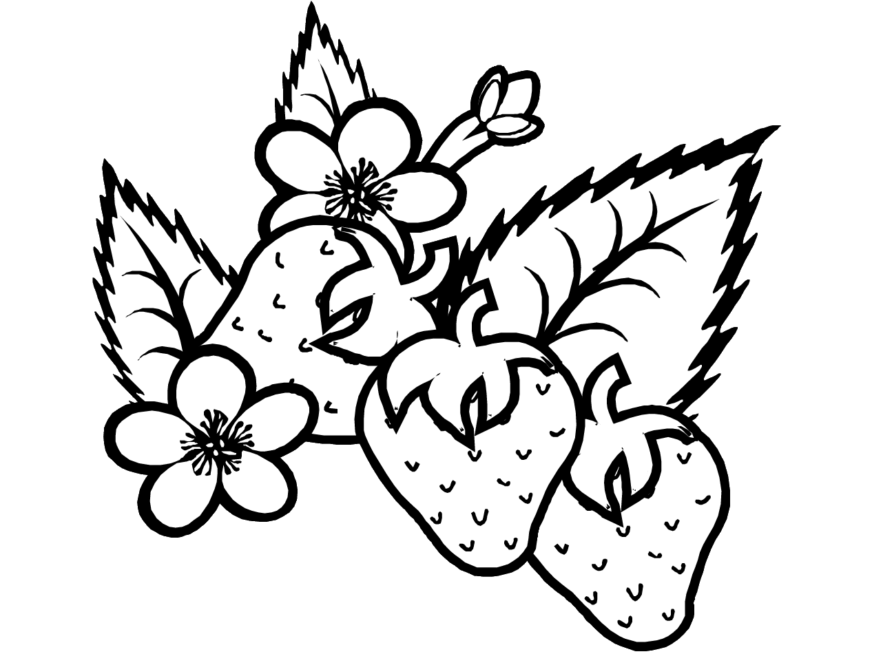 着色页: 夏季 (自然与季节) #165116 - 免费可打印着色页