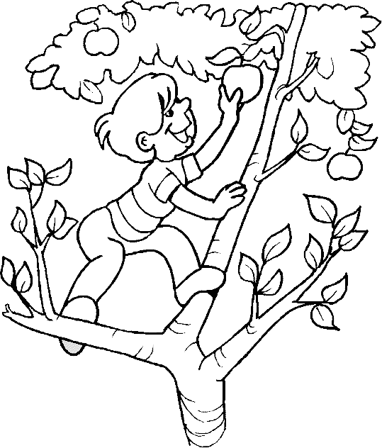 着色页: 苹果树 (自然) #163444 - 免费可打印着色页