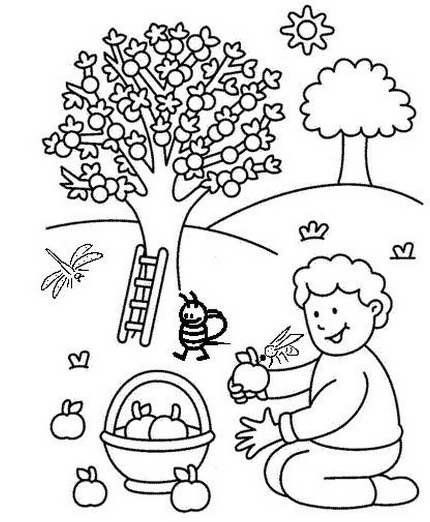 着色页: 苹果树 (自然) #163445 - 免费可打印着色页
