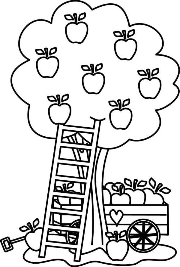 着色页: 苹果树 (自然) #163775 - 免费可打印着色页