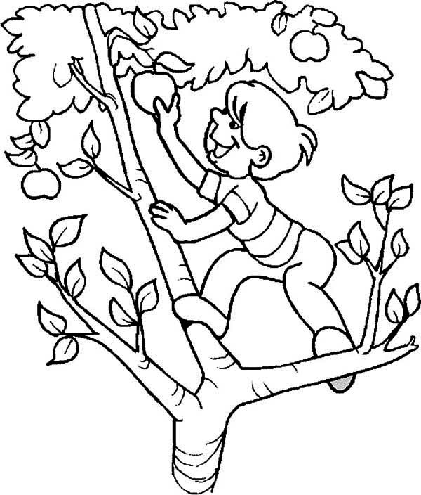 着色页: 苹果树 (自然) #163793 - 免费可打印着色页