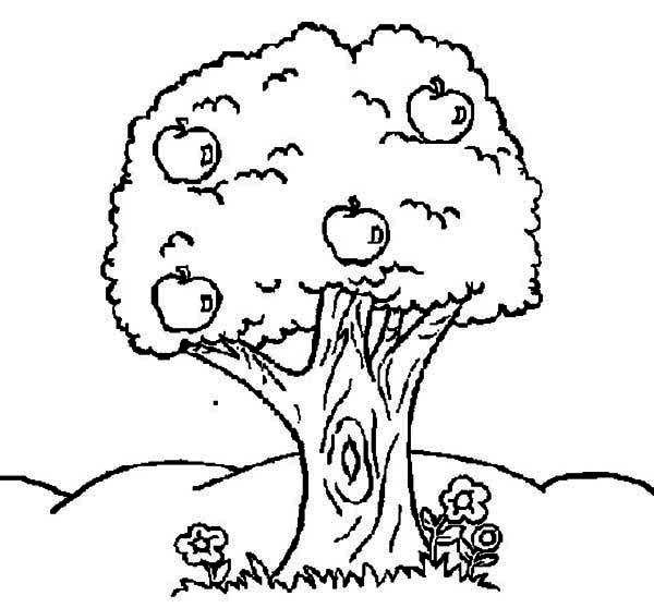 着色页: 苹果树 (自然) #163794 - 免费可打印着色页
