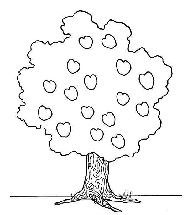 着色页: 苹果树 (自然) #163805 - 免费可打印着色页