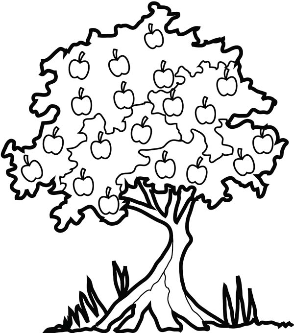 着色页: 苹果树 (自然) #163846 - 免费可打印着色页