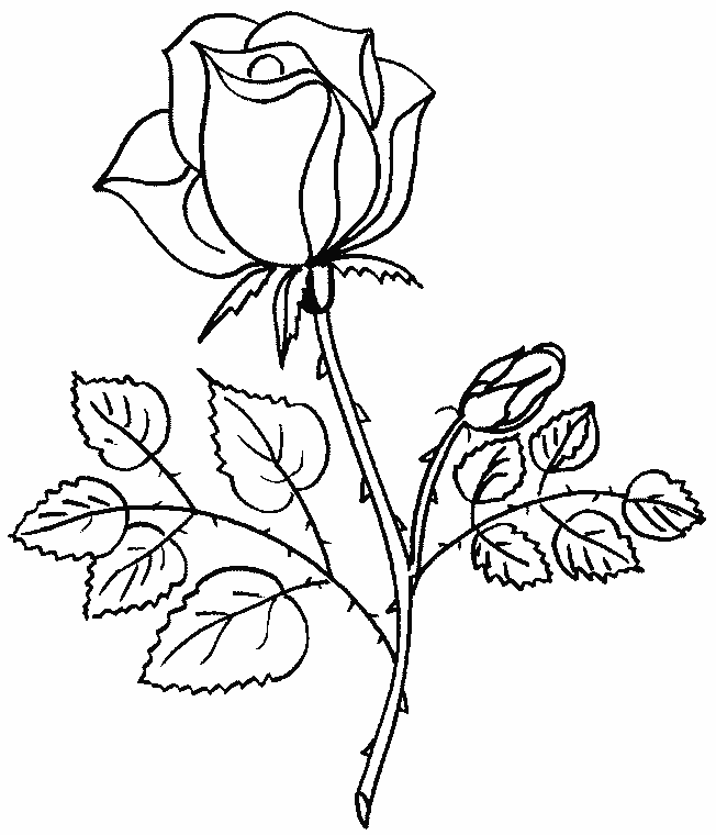 着色页: 一束鲜花 (自然) #160736 - 免费可打印着色页