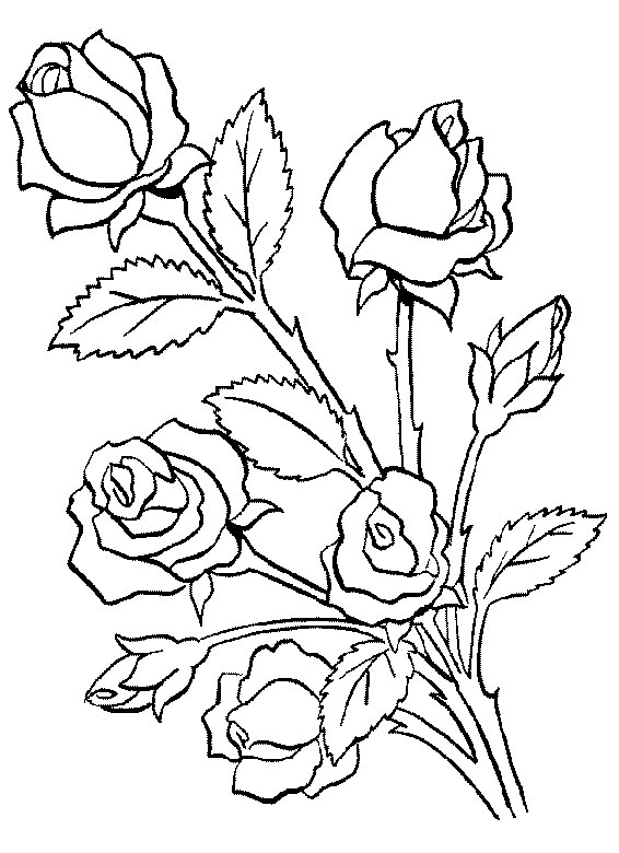着色页: 一束鲜花 (自然) #160740 - 免费可打印着色页