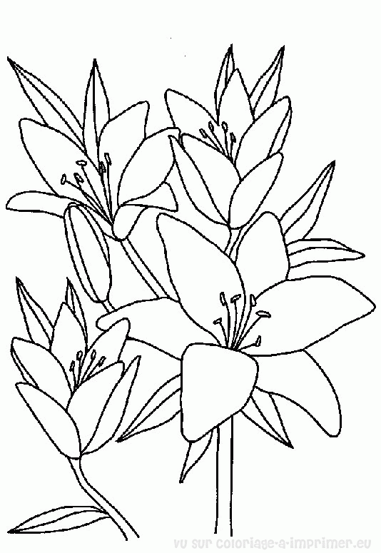 着色页: 一束鲜花 (自然) #160788 - 免费可打印着色页