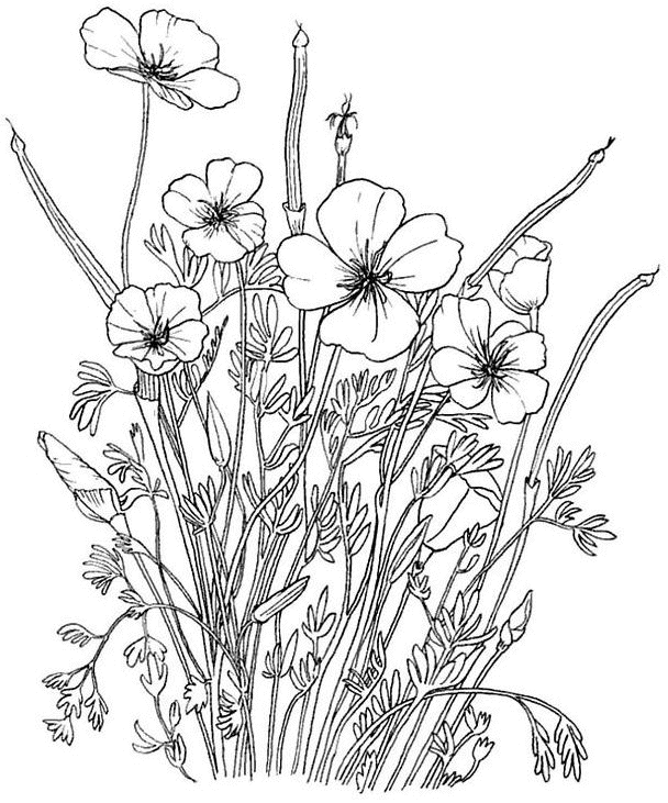 着色页: 一束鲜花 (自然) #160808 - 免费可打印着色页