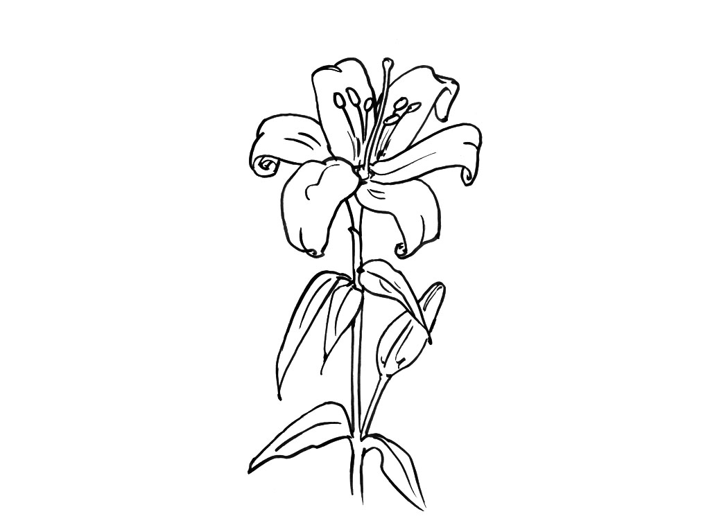着色页: 一束鲜花 (自然) #160844 - 免费可打印着色页