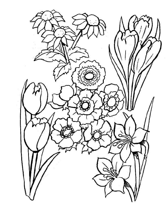 着色页: 一束鲜花 (自然) #160855 - 免费可打印着色页