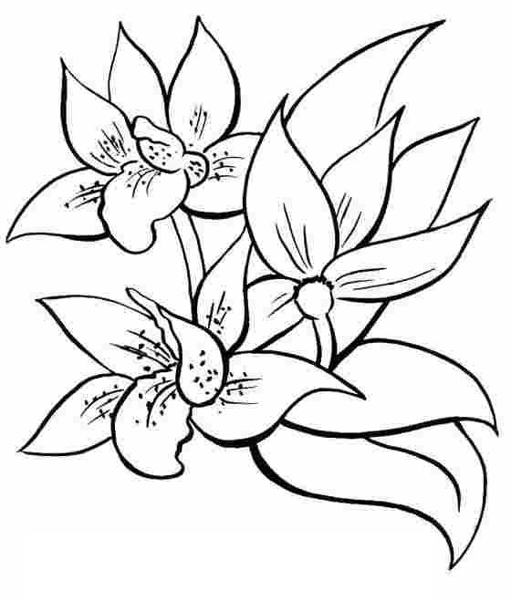 着色页: 一束鲜花 (自然) #160860 - 免费可打印着色页