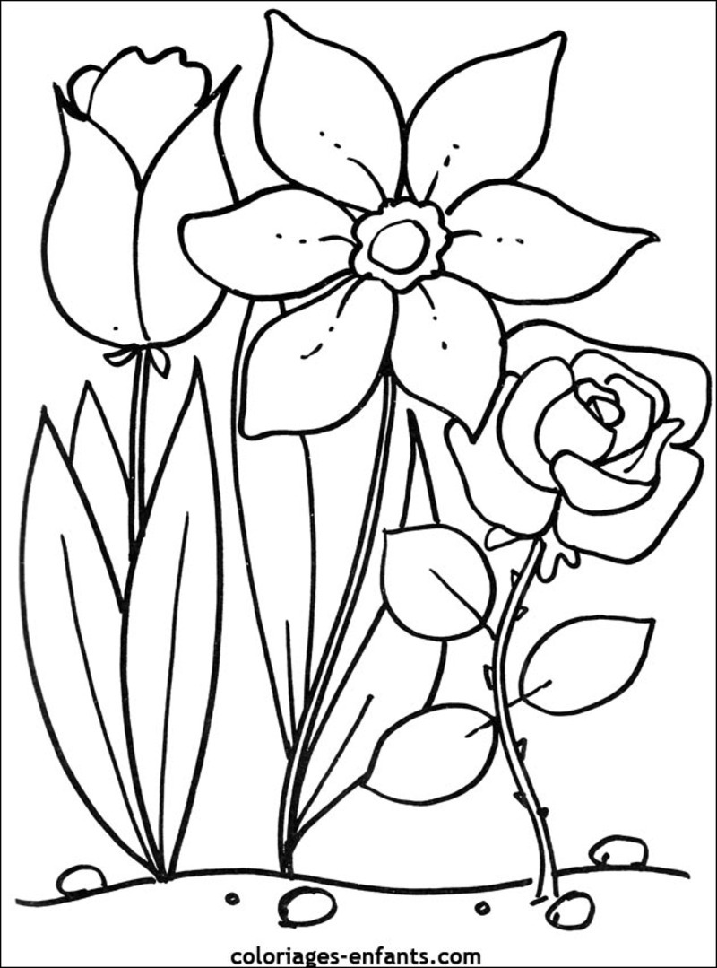 着色页: 一束鲜花 (自然) #160931 - 免费可打印着色页