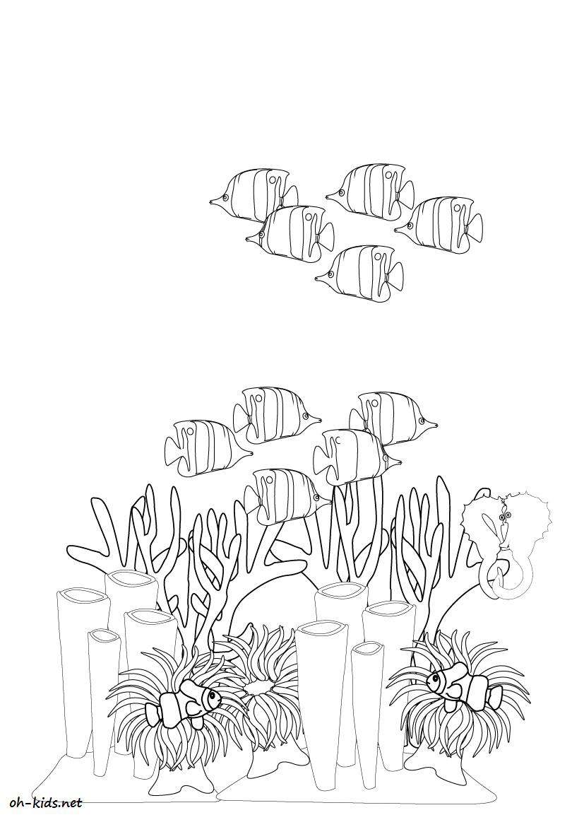 着色页: 珊瑚 (自然) #162784 - 免费可打印着色页