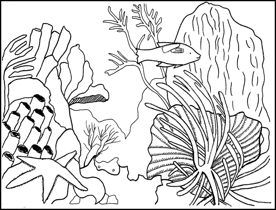 着色页: 珊瑚 (自然) #162899 - 免费可打印着色页