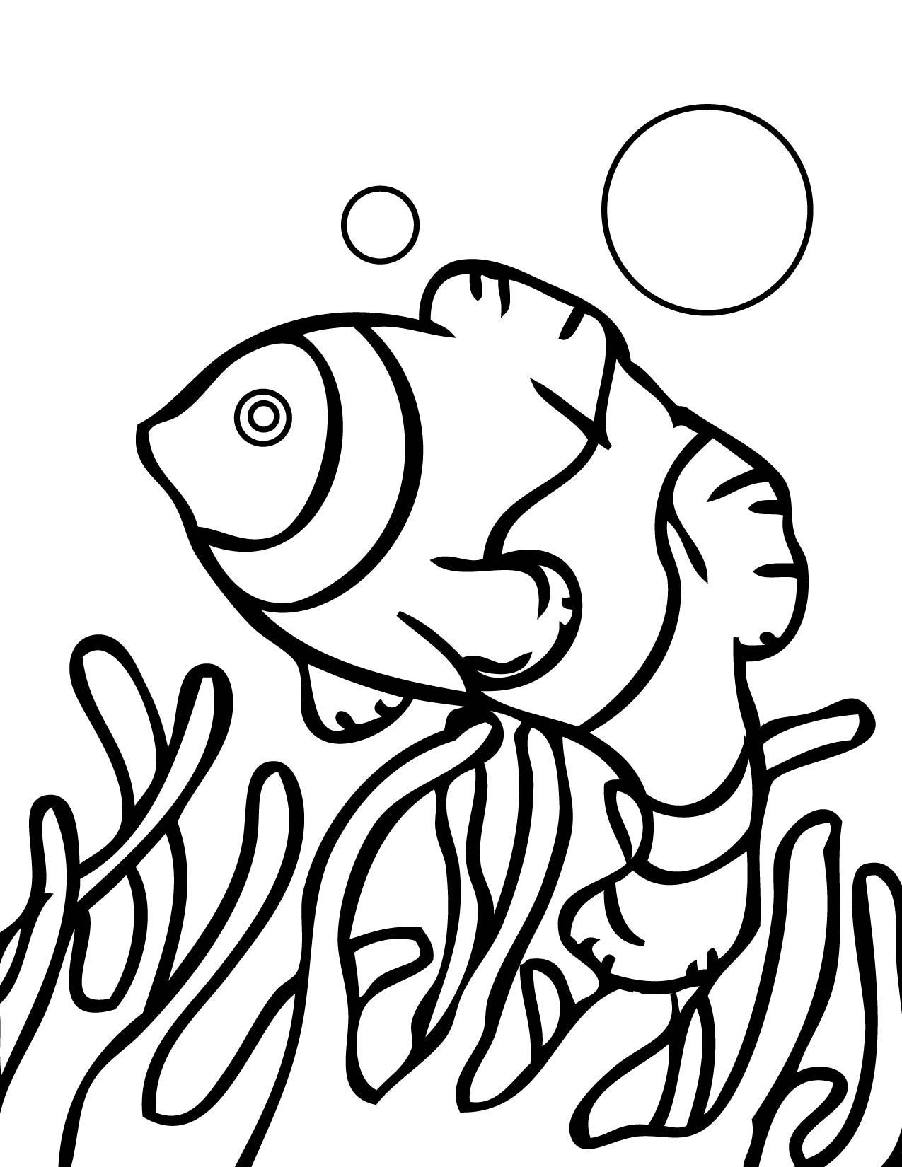 着色页: 珊瑚 (自然) #162913 - 免费可打印着色页
