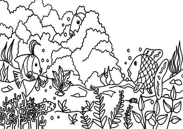 着色页: 珊瑚 (自然) #162963 - 免费可打印着色页