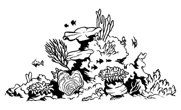 着色页: 珊瑚 (自然) #162981 - 免费可打印着色页
