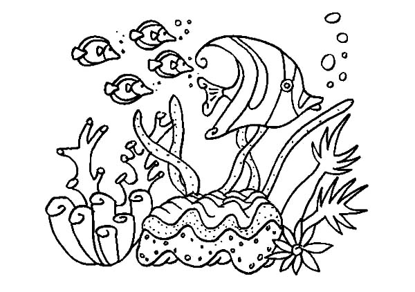 着色页: 珊瑚 (自然) #162991 - 免费可打印着色页