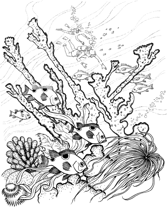 着色页: 珊瑚 (自然) #163012 - 免费可打印着色页