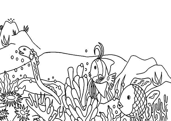 着色页: 珊瑚 (自然) #163014 - 免费可打印着色页