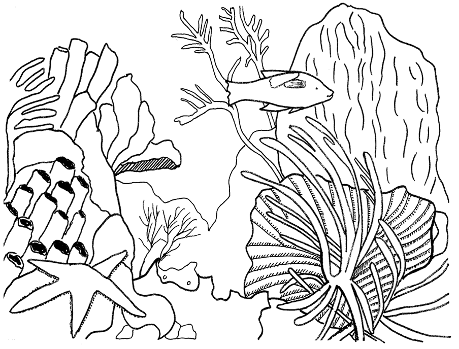 着色页: 珊瑚 (自然) #163034 - 免费可打印着色页