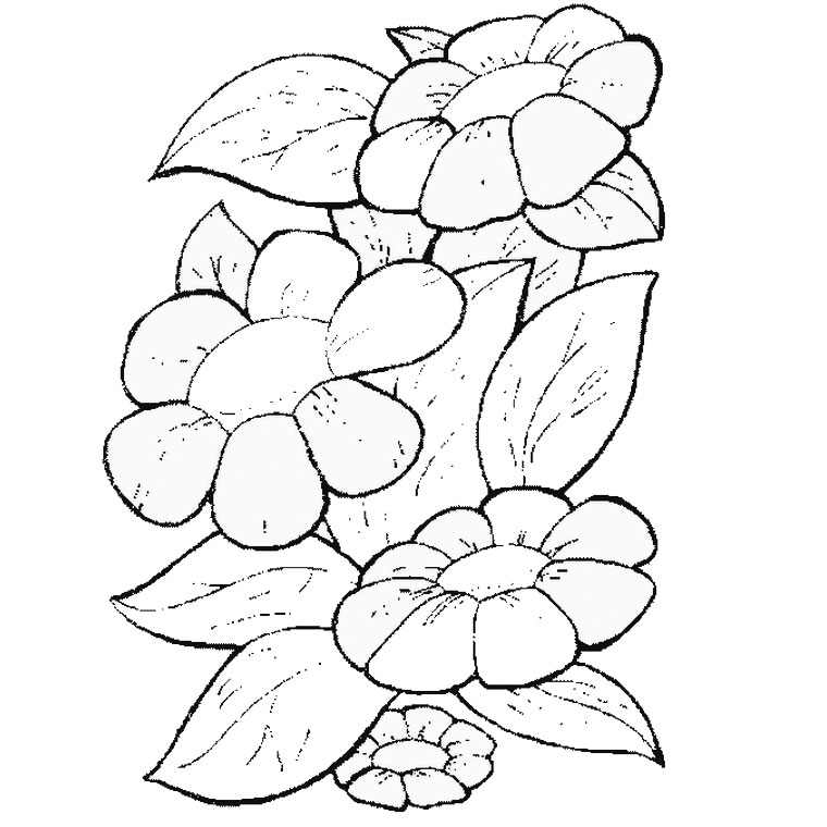 着色页: 雏菊 (自然) #161367 - 免费可打印着色页