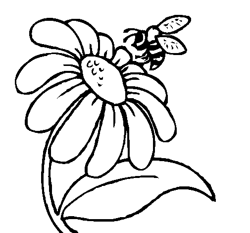 着色页: 雏菊 (自然) #161369 - 免费可打印着色页