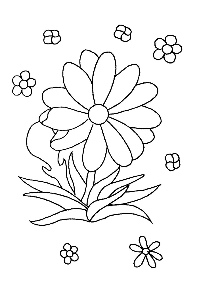 着色页: 雏菊 (自然) #161390 - 免费可打印着色页