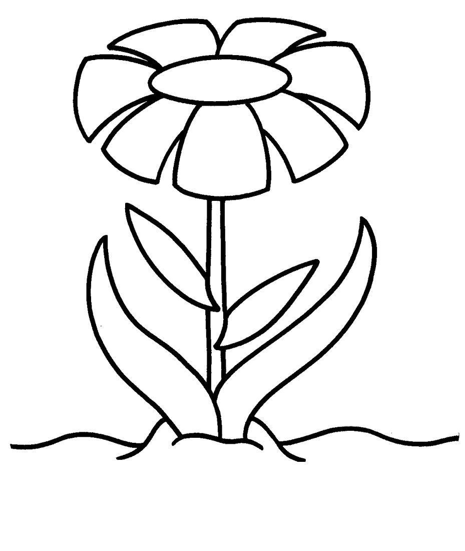 着色页: 雏菊 (自然) #161596 - 免费可打印着色页